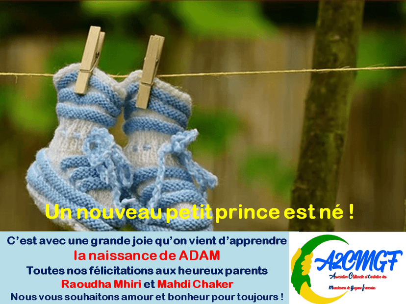 Un nouveau petit prince est né !